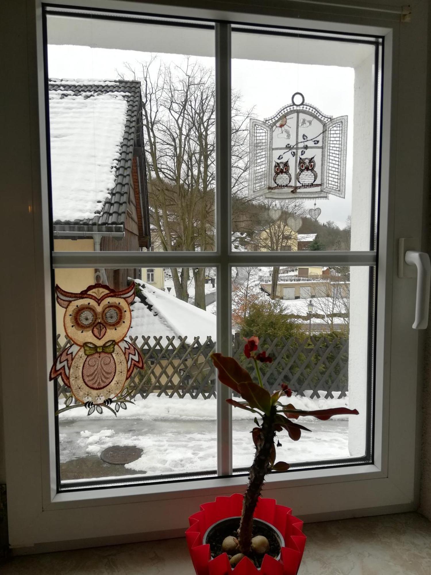 Ferienhaus 3 Eulen Altenberg  Kültér fotó